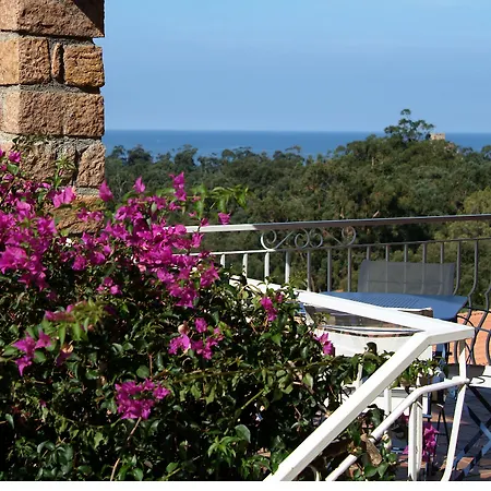 Capo D'orto - Porto - Corse
