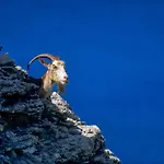Capo D'orto - Porto - Corse