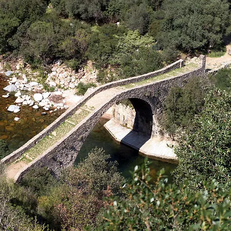 Capo D'orto - Porto - Corse