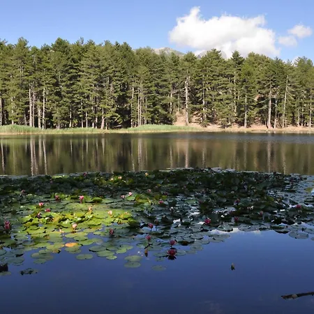 Capo D'orto - Porto - Corse