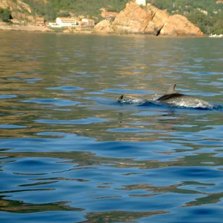 ホテル Capo D'orto - Porto - Corse