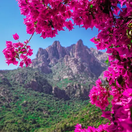 ホテル Capo D'orto - Porto - Corse 3*