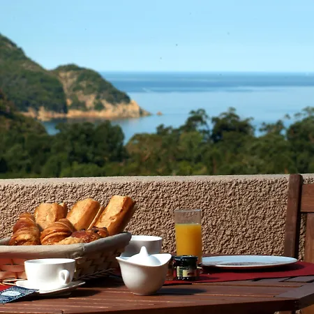 Capo D'orto - Porto - Corse Hotel Porto (Corsica)