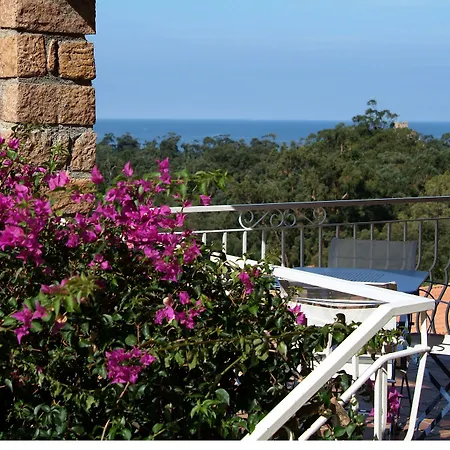 Hotel Capo D'orto - Porto - Corse 3*