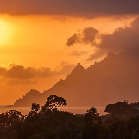 Capo D'orto - Porto - Corse ホテル
