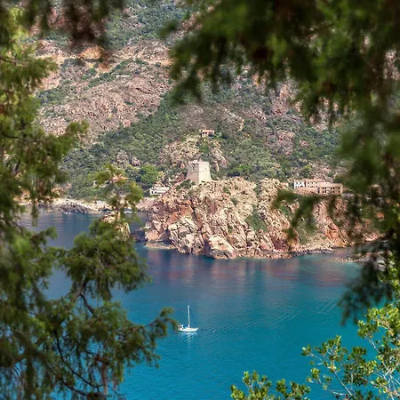 Capo D'orto - Porto - Corse ホテル Porto (Corsica)