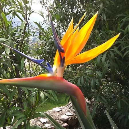 Capo D'orto - Porto - Corse