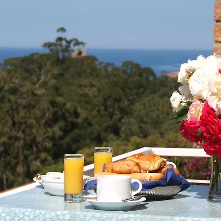 Capo D'orto - Porto - Corse