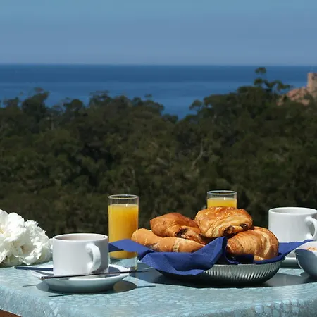 Capo D'orto - Porto - Corse Porto (Corsica)