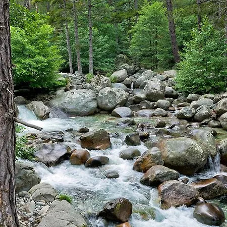 Hotel Capo D'orto - Porto - Corse