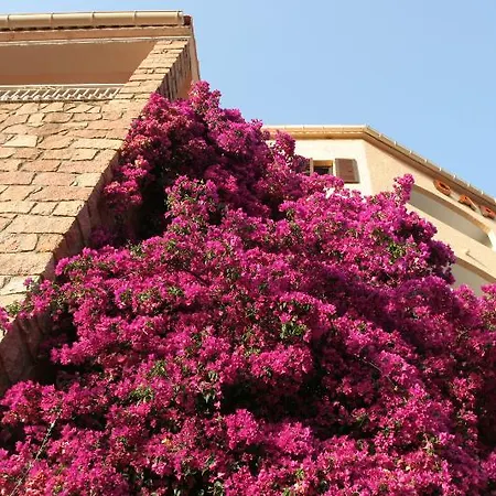 Hotel Capo D'orto - Porto - Corse Porto (Corsica)