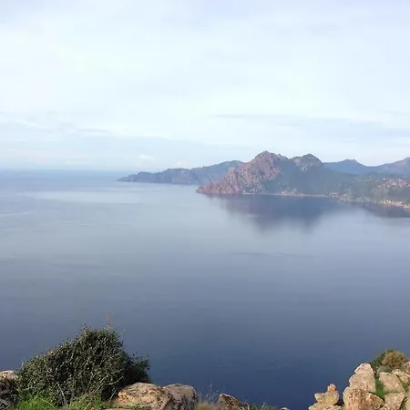 Ξενοδοχείο Capo D'orto - Porto - Corse 3*