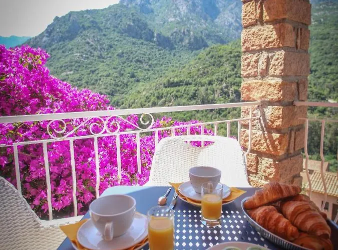 Capo D'orto - Porto - Corse מלון 3*