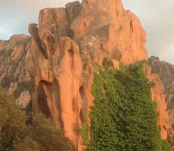 Hotel Capo D'orto - Porto - Corse Porto (Corsica)