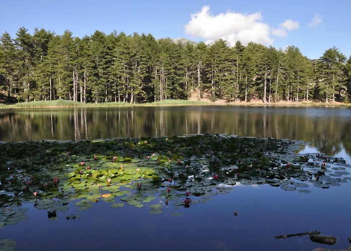 Capo D'orto - Porto - Corse