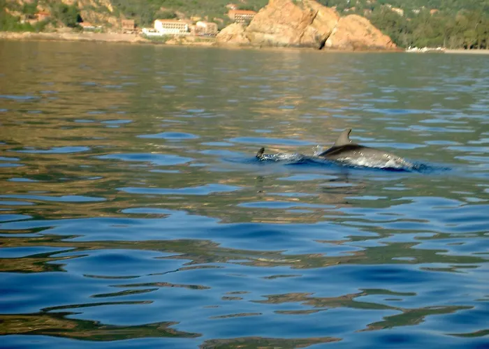 Hotel Capo D'orto - Porto - Corse