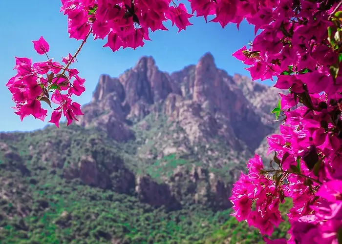 מלון Capo D'orto - Porto - Corse 3*