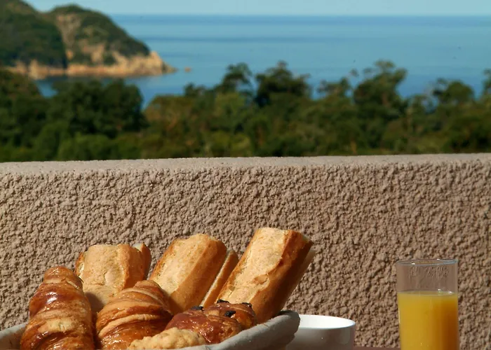 Capo D'orto - Porto - Corse Porto (Corsica)