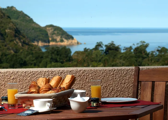 Capo D'orto - Porto - Corse Hotel Porto (Corsica)