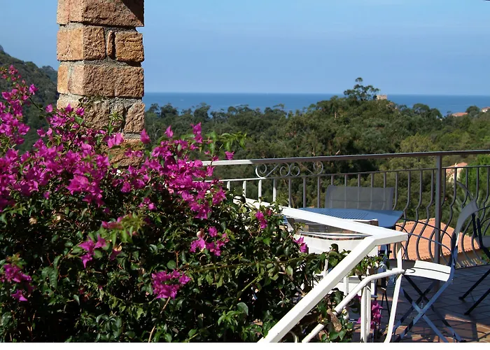 Hotel Capo D'orto - Porto - Corse 3*
