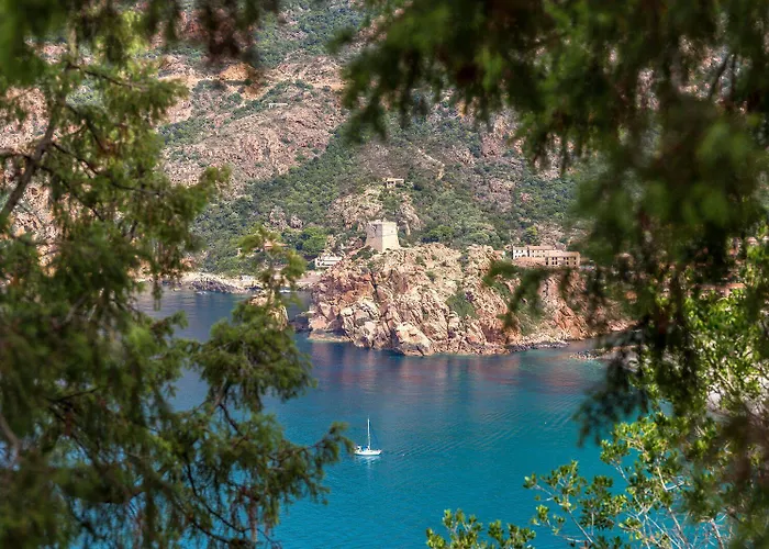 Capo D'orto - Porto - Corse Otel Porto (Corsica)