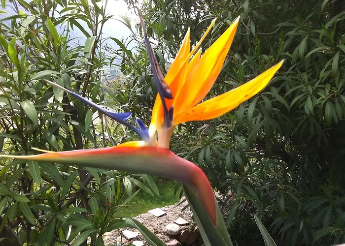 Capo D'orto - Porto - Corse