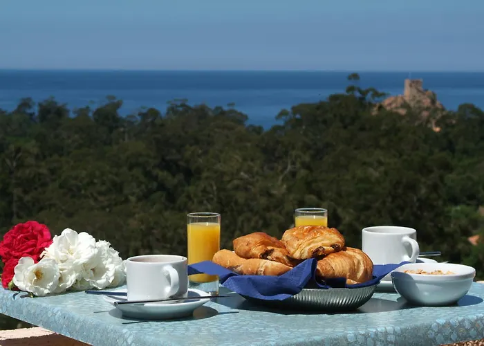 Capo D'orto - Porto - Corse Porto (Corsica)