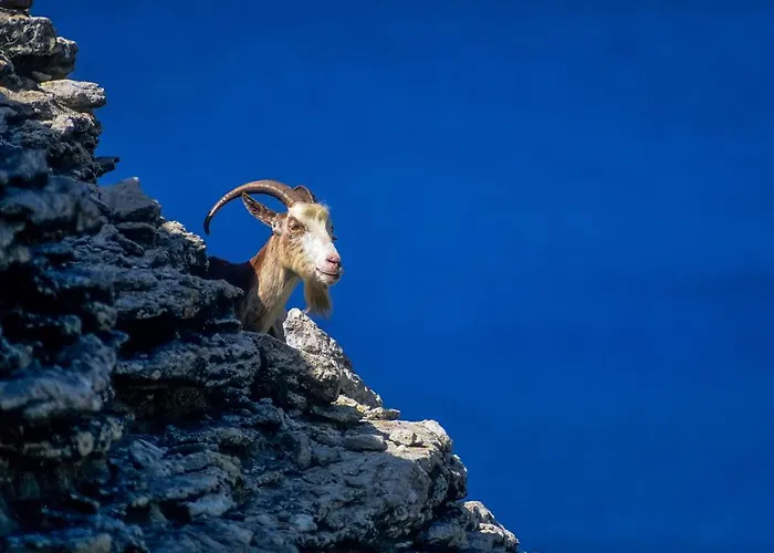 Capo D'orto - Porto - Corse