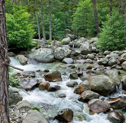 מלון Capo D'orto - Porto - Corse