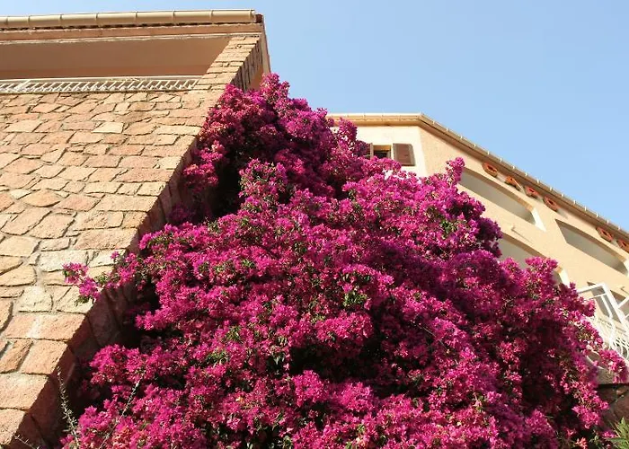 Otel Capo D'orto - Porto - Corse Porto (Corsica)