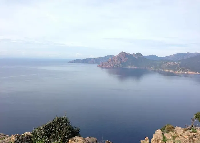 מלון Capo D'orto - Porto - Corse 3*